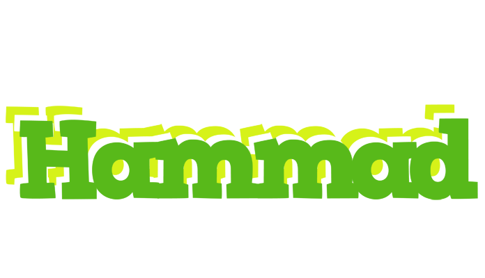 Hammad picnic logo