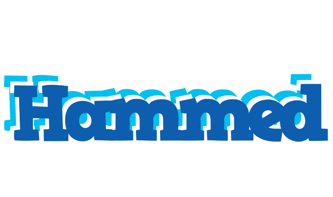 Hammed business logo