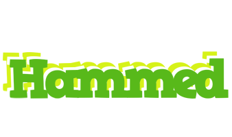 Hammed picnic logo