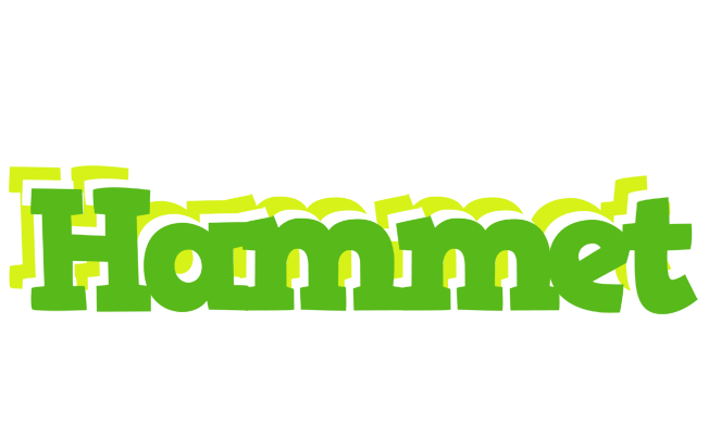 Hammet picnic logo