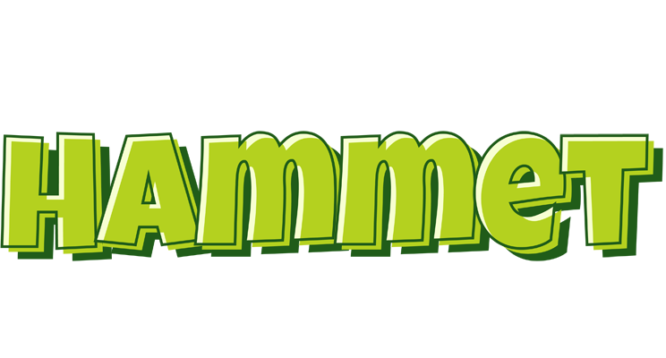 Hammet summer logo