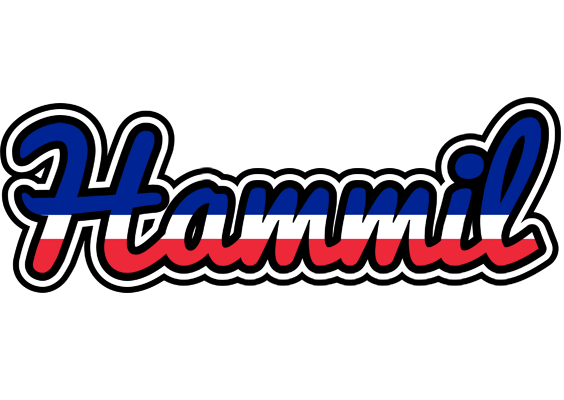 Hammil france logo