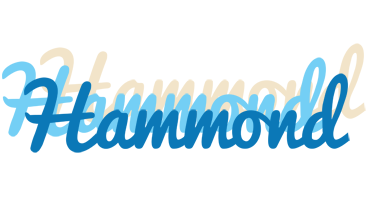Hammond breeze logo
