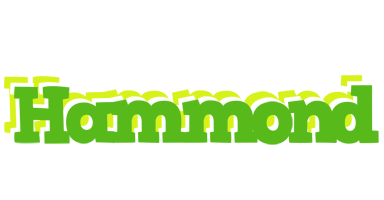 Hammond picnic logo