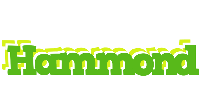Hammond picnic logo