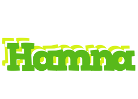 Hamna picnic logo