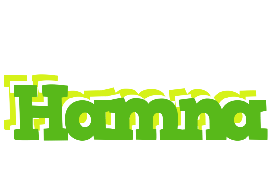 Hamna picnic logo