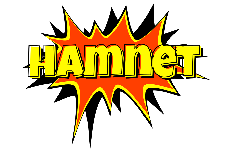 Hamnet bazinga logo