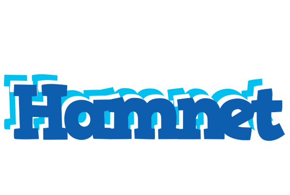 Hamnet business logo