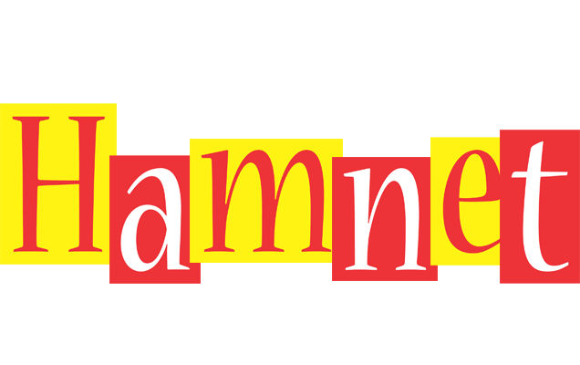 Hamnet errors logo
