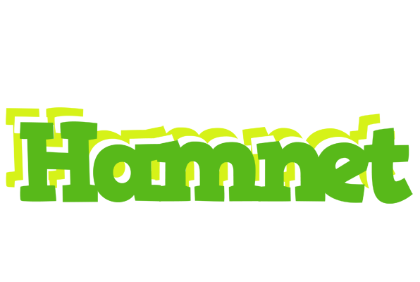 Hamnet picnic logo