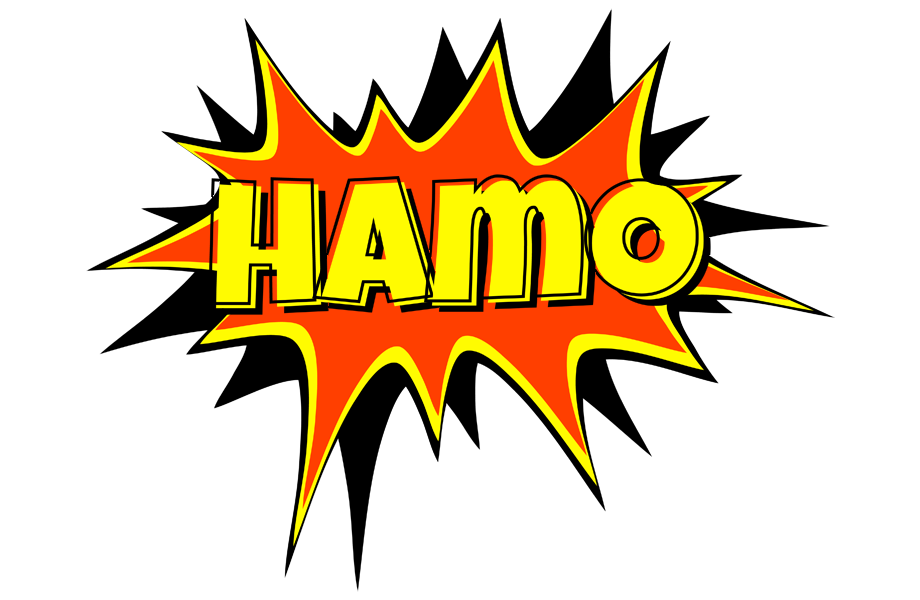 Hamo bazinga logo