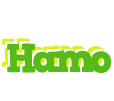 Hamo picnic logo