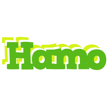 Hamo picnic logo