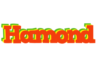 Hamond bbq logo