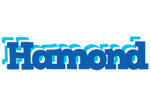Hamond business logo