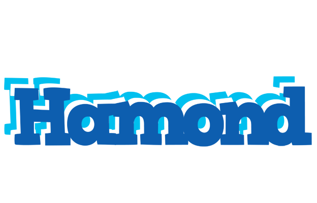 Hamond business logo
