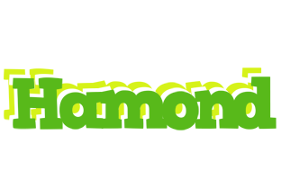 Hamond picnic logo
