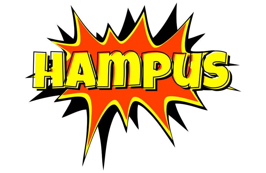 Hampus bazinga logo