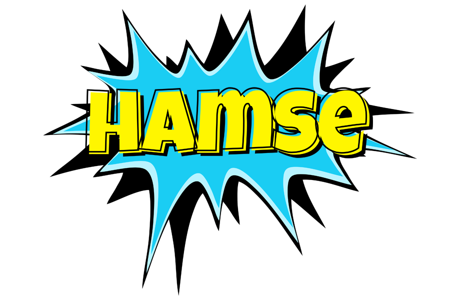 Hamse amazing logo