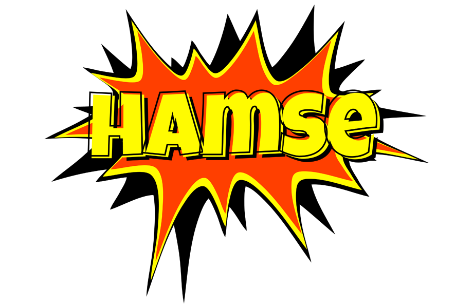 Hamse bazinga logo