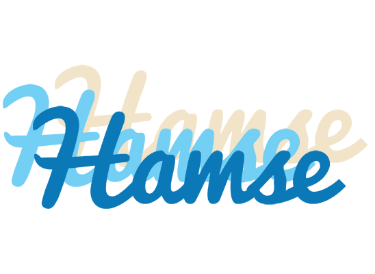 Hamse breeze logo