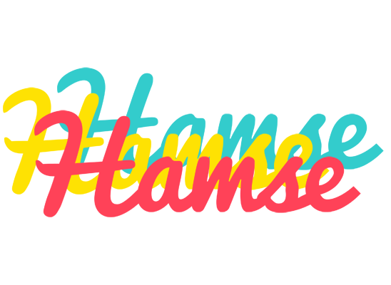 Hamse disco logo