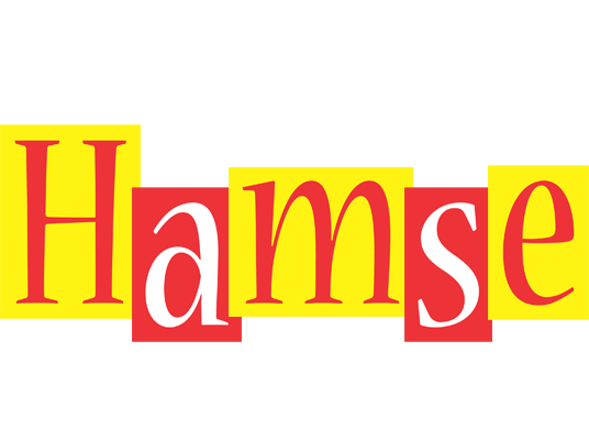 Hamse errors logo