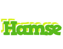 Hamse picnic logo