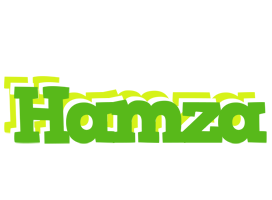 Hamza picnic logo