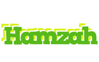 Hamzah picnic logo