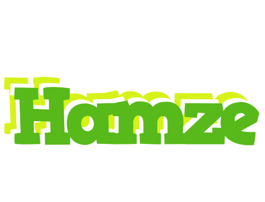 Hamze picnic logo