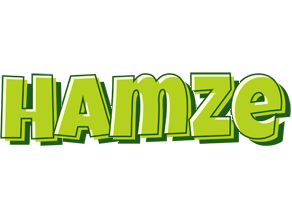 Hamze summer logo