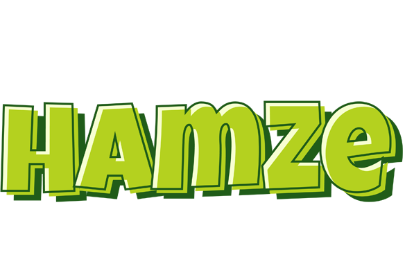 Hamze summer logo