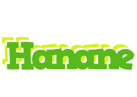 Hanane picnic logo