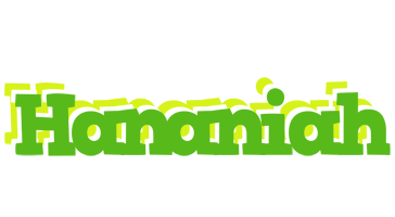 Hananiah picnic logo