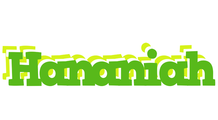 Hananiah picnic logo