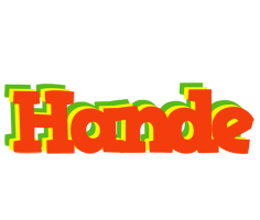 Hande bbq logo