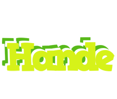 Hande citrus logo