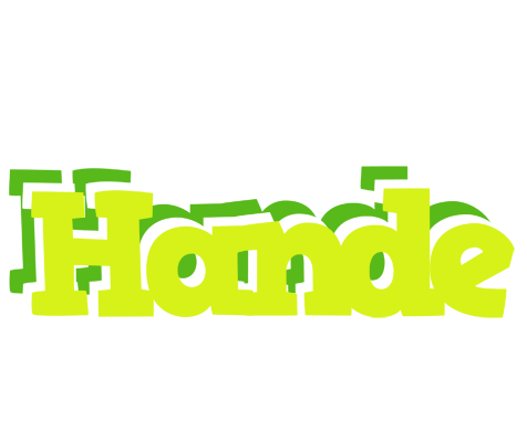 Hande citrus logo