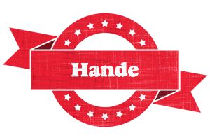 Hande passion logo