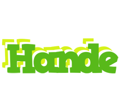 Hande picnic logo