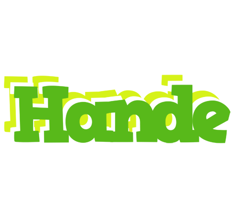Hande picnic logo