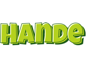 Hande summer logo
