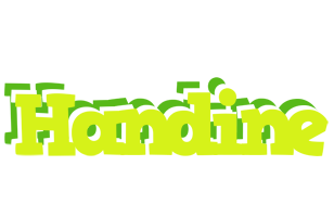 Handine citrus logo