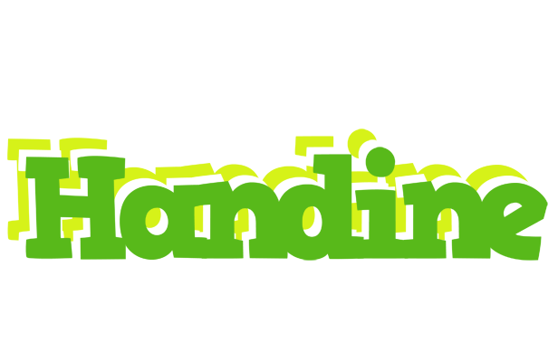 Handine picnic logo