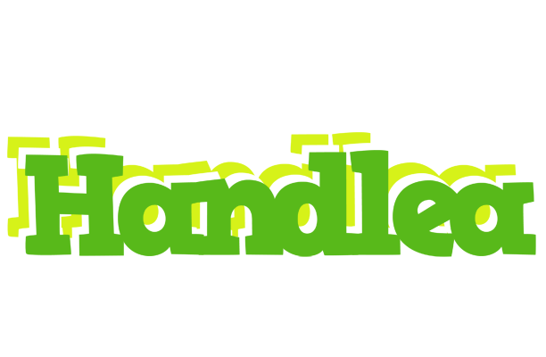 Handlea picnic logo