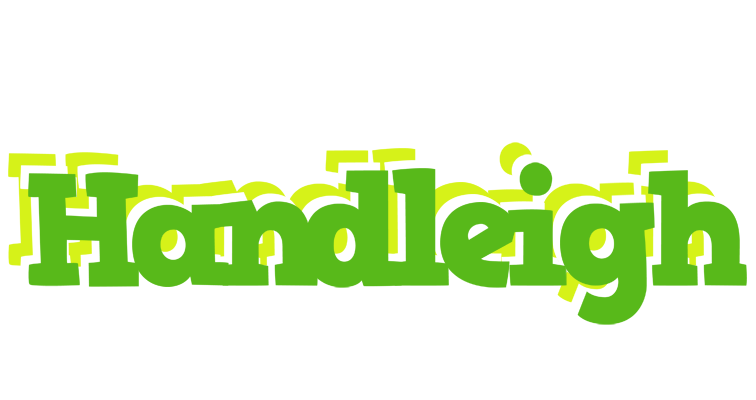 Handleigh picnic logo