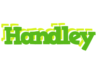 Handley picnic logo