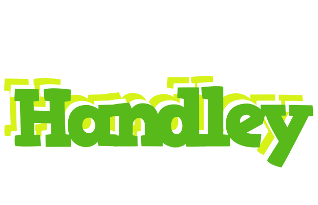 Handley picnic logo